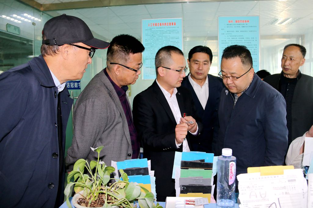 贾宁率组员实地考察_副本.jpg