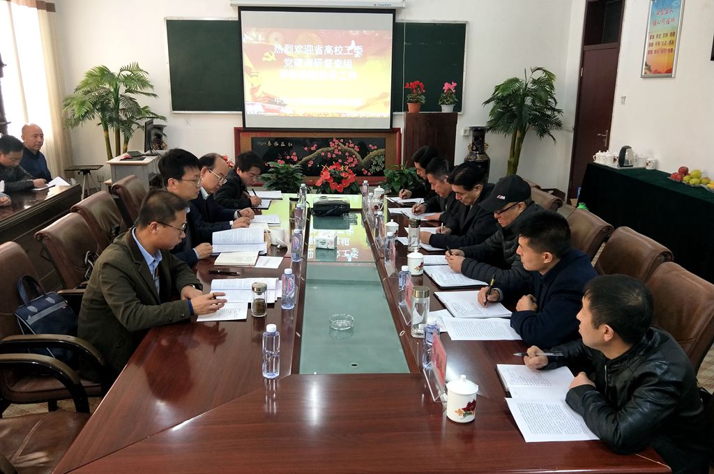省高校工委督察组督查我院党建工作.jpg
